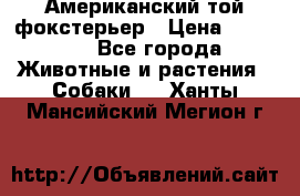 Американский той фокстерьер › Цена ­ 25 000 - Все города Животные и растения » Собаки   . Ханты-Мансийский,Мегион г.